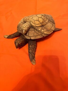 Source Unknown Brown and Tan Sea Turtle Reptile Accent